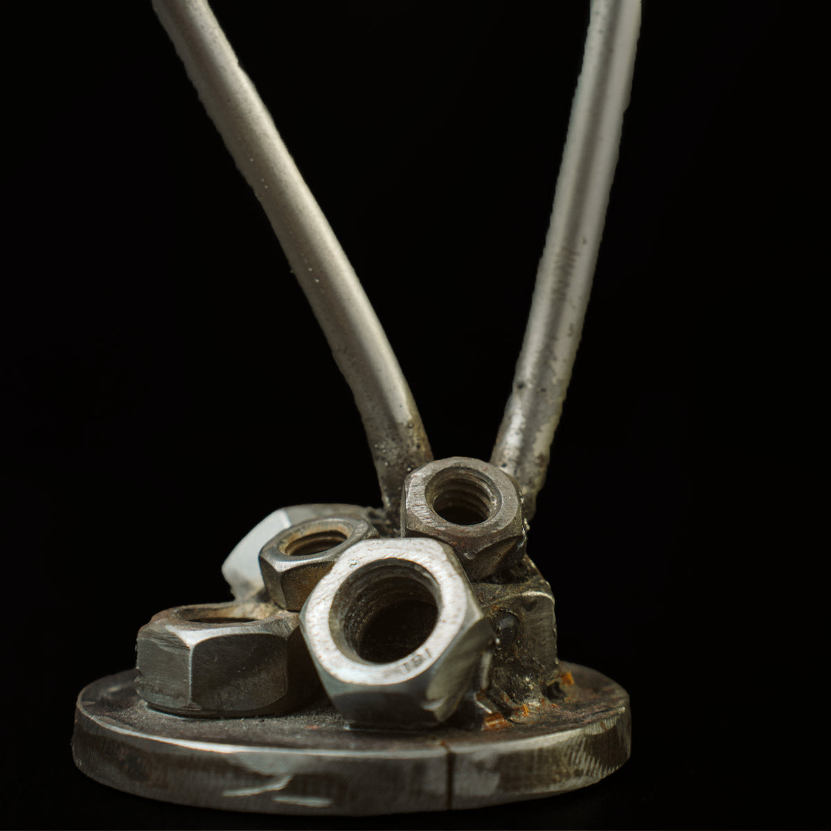 Metalliko louloudi gardenia