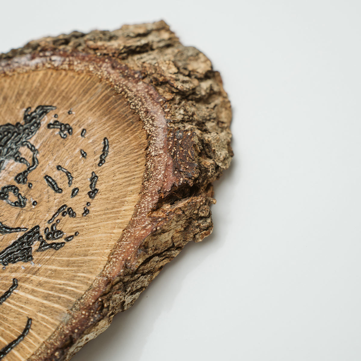 Pyrografia se ksilo Monroe