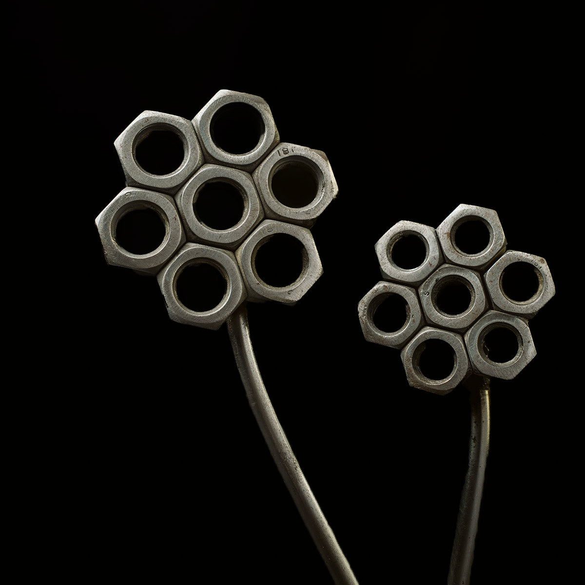 Metalliko louloudi gardenia